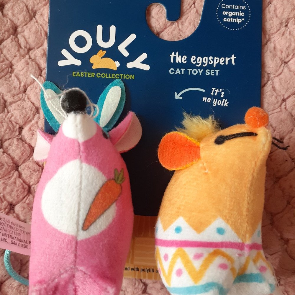 Brand New Cat Toy-2 CT.